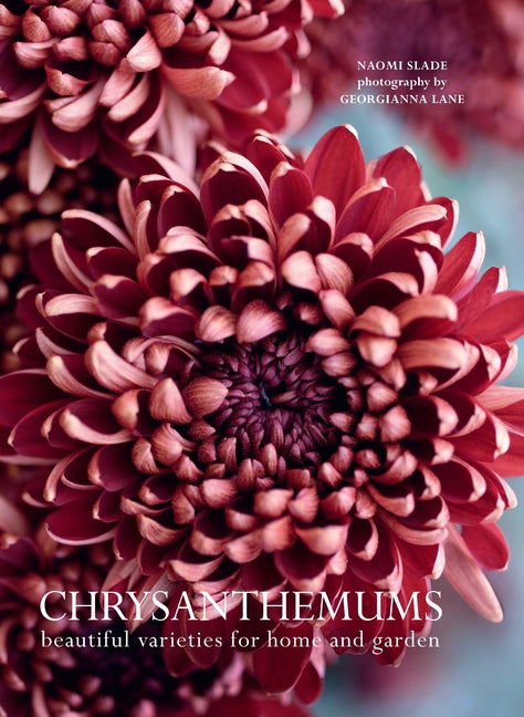 Book cover for Chrysanthemums: Beautiful Varieties for Home and Garden