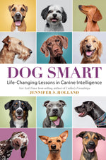 Book cover for Dog Smart: Life-Changing Lessons in Canine Intelligence