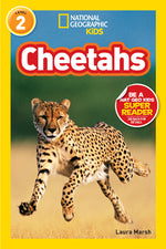Book cover for Cheetahs