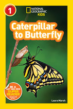 Book cover for Caterpillar to Butterfly