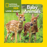 Book cover for Baby Animals