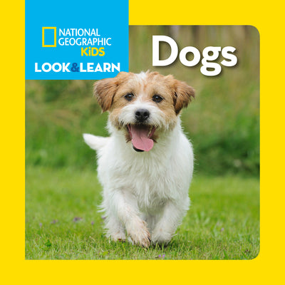 Book cover for Dogs