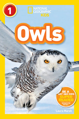 Book cover for Owls