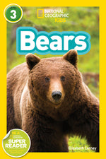 Book cover for Bears