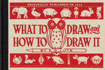 Book cover for What to Draw and How to Draw It