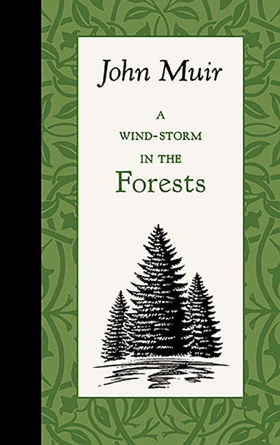 Book cover for Wind-Storm in the Forests