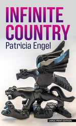 Book cover for Infinite Country
