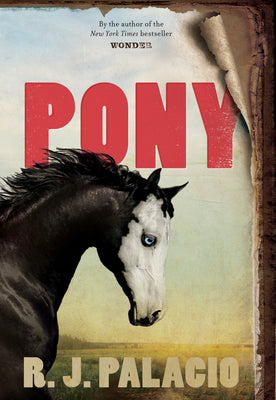 Book cover for Pony