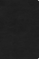 Book cover for ESV Value Compact Bible (Trutone, Black)