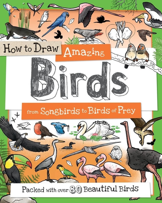 Book cover for How to Draw Amazing Birds: From Songbirds to Birds of Prey