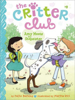 Book cover for Amy Meets Her Stepsister