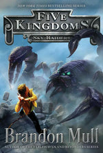 Book cover for Sky Raiders