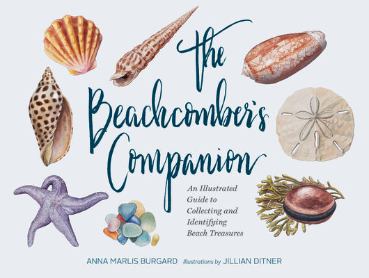 Book cover for The Beachcomber's Companion: An Illustrated Guide to Collecting and Identifying Beach Treasures (Watercolor Seashell and Shell Collecting Book, Bea