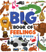 Book cover for Big Book of Feelings