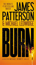 Book cover for Burn