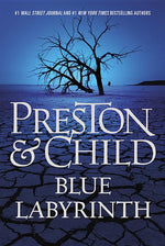 Book cover for Blue Labyrinth