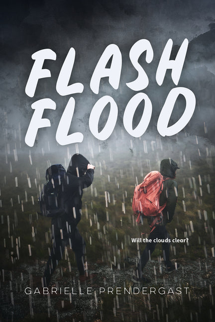 Book cover for Flash Flood