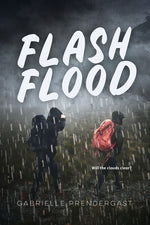 Book cover for Flash Flood