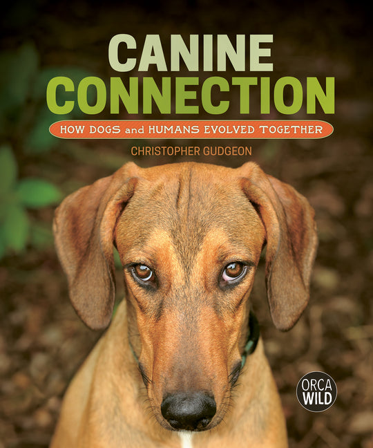 Book cover for Canine Connection: How Dogs and Humans Evolved Together