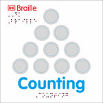 Book cover for DK Braille: Counting