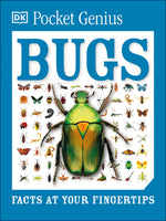 Book cover for Pocket Genius: Bugs: Facts at Your Fingertips