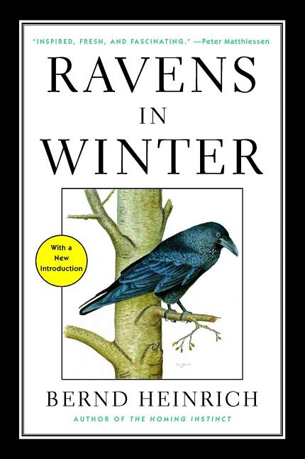 Book cover for Ravens in Winter
