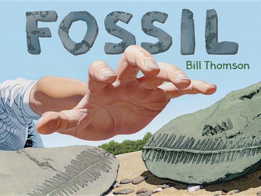 Book cover for Fossil