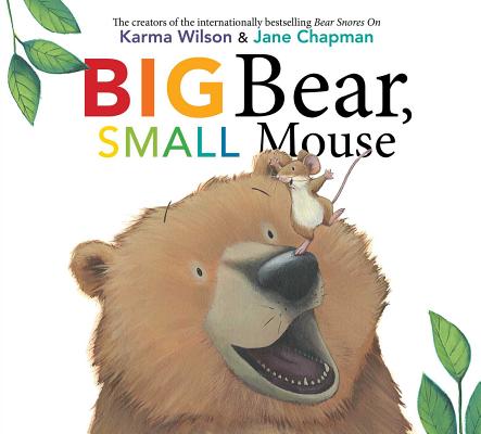 Book cover for Big Bear, Small Mouse