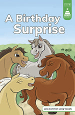 Book cover for Birthday Surprise