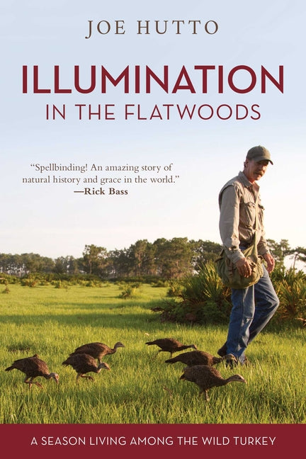Book cover for Illumination in the Flatwoods: A Season Living Among the Wild Turkey