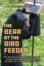 Book cover for Bear at the Bird Feeder