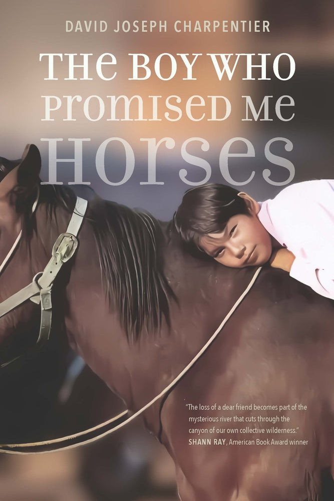 Book cover for The Boy Who Promised Me Horses