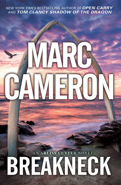 Book cover for Breakneck: A Captivating Novel of Suspense