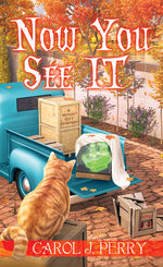 Book cover for Now You See It
