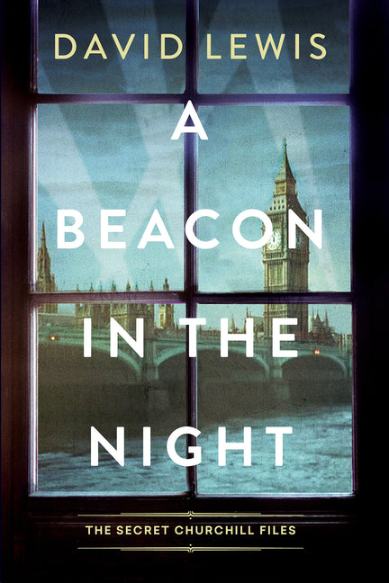 Book cover for Beacon in the Night
