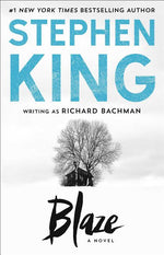 Book cover for Blaze