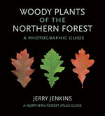 Book cover for Woody Plants of the Northern Forest: A Photographic Guide