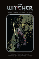 Book cover for Witcher Library Edition Volume 1