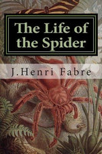 Book cover for The Life of the Spider