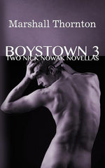 Book cover for Boystown 3: Two Nick Nowak Novellas