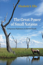 Book cover for Great Power of Small Nations: Indigenous Diplomacy in the Gulf South