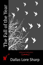 Book cover for The Fall of the Year