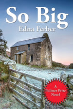 Book cover for So Big