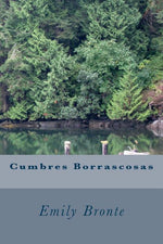 Book cover for Cumbres Borrascosas