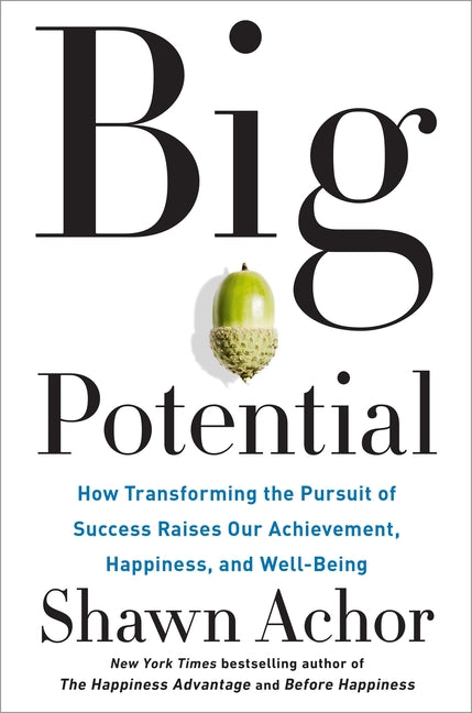 Book cover for Big Potential: How Transforming the Pursuit of Success Raises Our Achievement, Happiness, and Well-Being