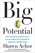 Book cover for Big Potential: How Transforming the Pursuit of Success Raises Our Achievement, Happiness, and Well-Being