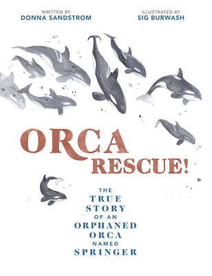 Book cover for Orca Rescue!: The True Story of an Orphaned Orca Named Springer
