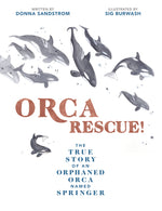 Book cover for Orca Rescue!: The True Story of an Orphaned Orca Named Springer