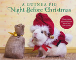Book cover for Guinea Pig Night Before Christmas