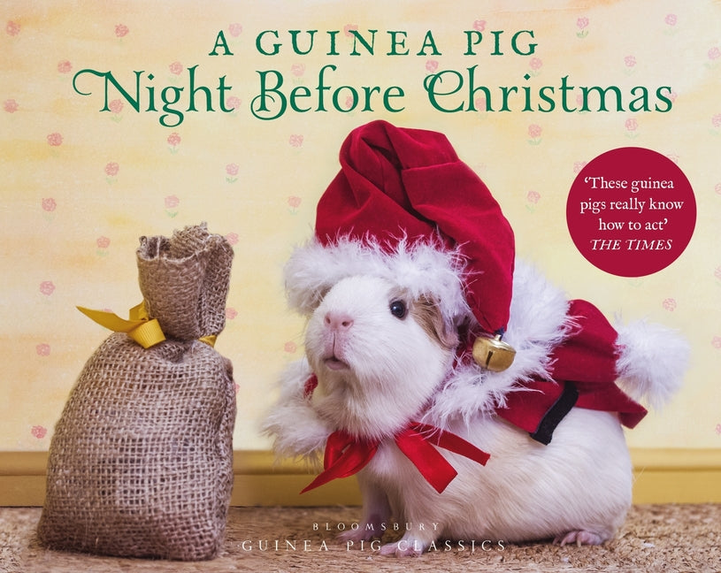 Book cover for Guinea Pig Night Before Christmas